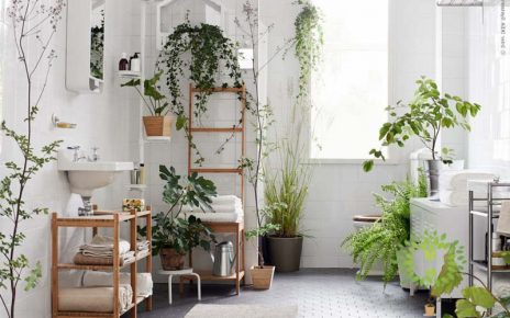 trồng cây trong nhà tắm